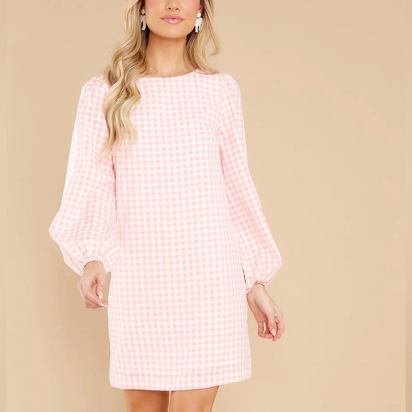 Red Dress Boutique Carefreely Content Pink Gingham Mini Dress M - Picture 2 of 5